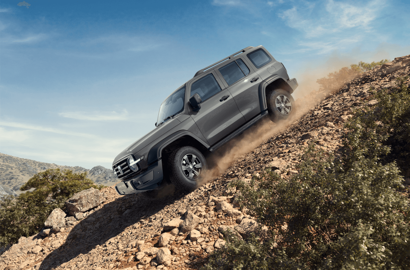 Ассистент спуска и подъема